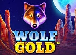 Wolf G Captain Jack Casino Game