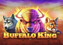 Buffalo King Captain Jack Casino Slot