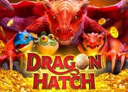 Dragon Hatch Captain Jack Casino Game