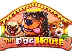 Dog House Captain Jack Casino Game